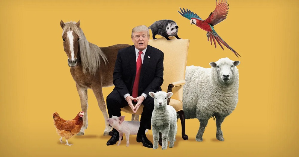 Donald Trump Never Had A Pet Not A Cat Not A Dog Yard Sign