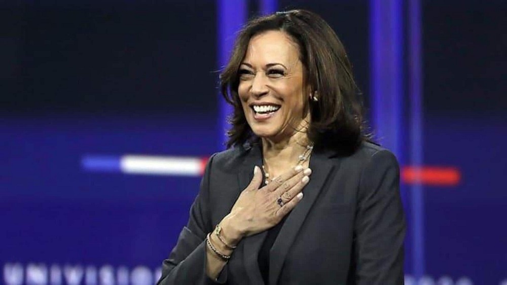 Kamala Harris is a childless cat lady