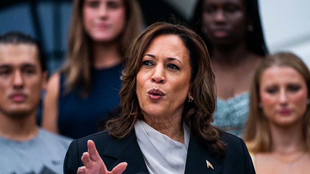 Kamala Is Brat Beautiful Retarded Amazing Troubled By Immigration
