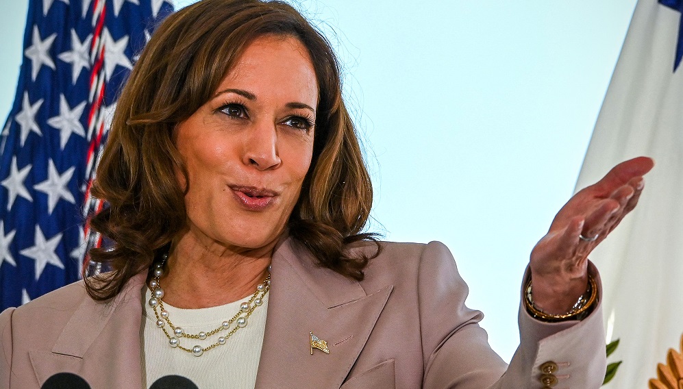 Made You Look Kamala Harris 2024