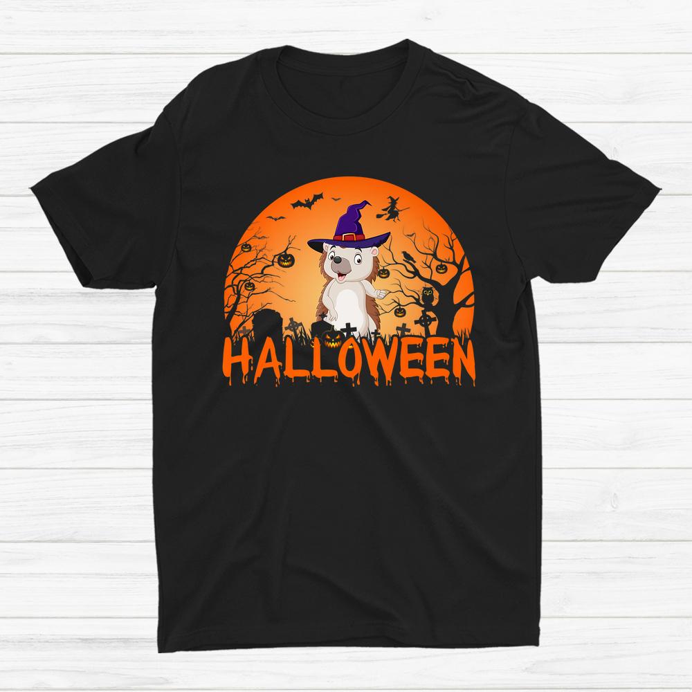 Pumpkin Face Cute Hedgehog Lovers Scary Halloween Shirt Pumpkin Face Cute Hedgehog Lovers Scary Halloween Shirt