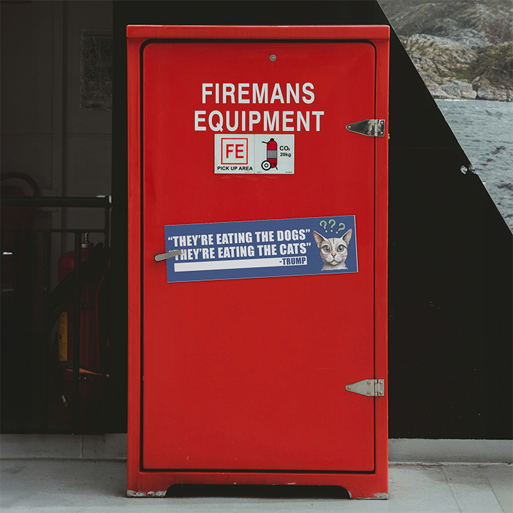 They Are Eating The Dogs They Are Eating The Cats Car Magnet They Are Eating The Dogs They Are Eating The Cats Car Magnet