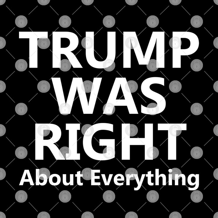 Trump Was Right About Everything Shirt Trump Was Right About Everything Shirt