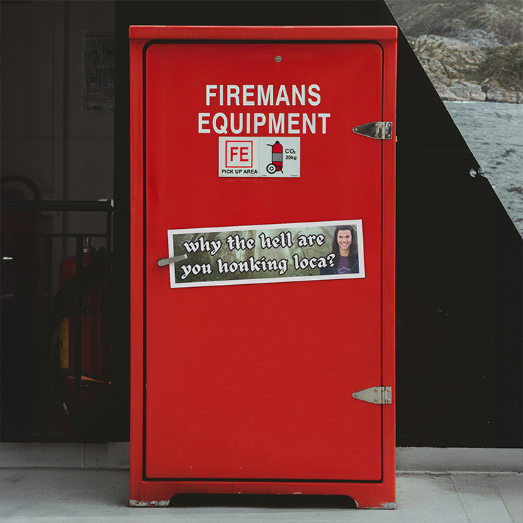 Twilight Why The Hell Are You Honking Loca Car Magnet Twilight Why The Hell Are You Honking Loca Car Magnet