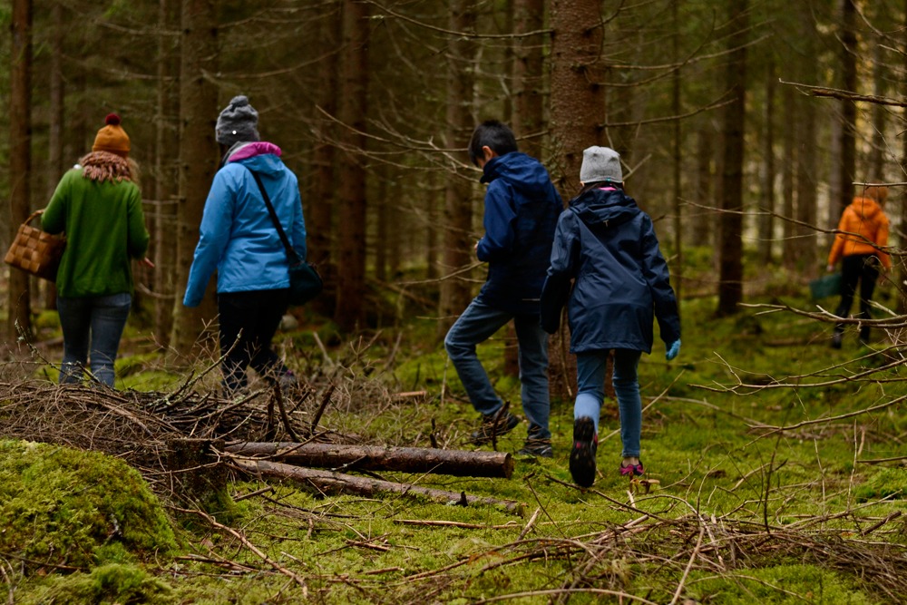 Where Are The Bodies