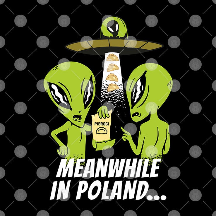 Alien Abduction Pierogi Polish Meanwhile In Poland Shirt Alien Abduction Pierogi Polish Meanwhile In Poland Shirt