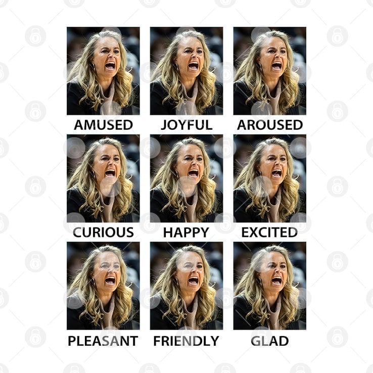 Becky Hammon Amused Joyful Aroused Curious Happy Excited Pleasant Friendly Glad T Shirt Becky Hammon Amused Joyful Aroused Curious Happy Excited Pleasant Friendly Glad T Shirt