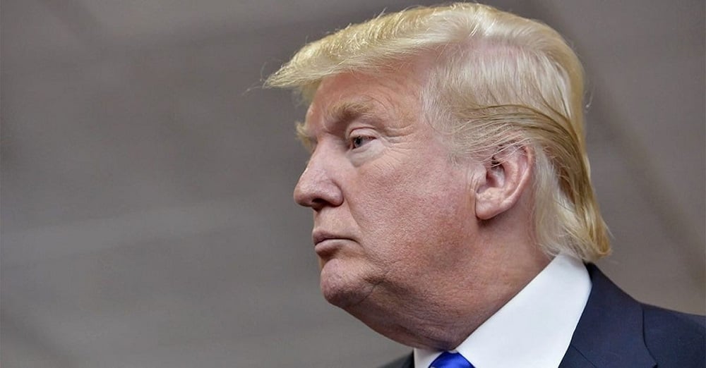 Donald Trump hair