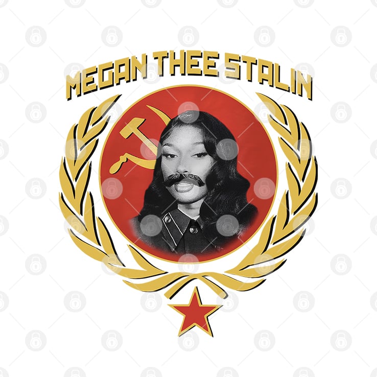 Megan Thee Stalin T Shirt Megan Thee Stalin T Shirt
