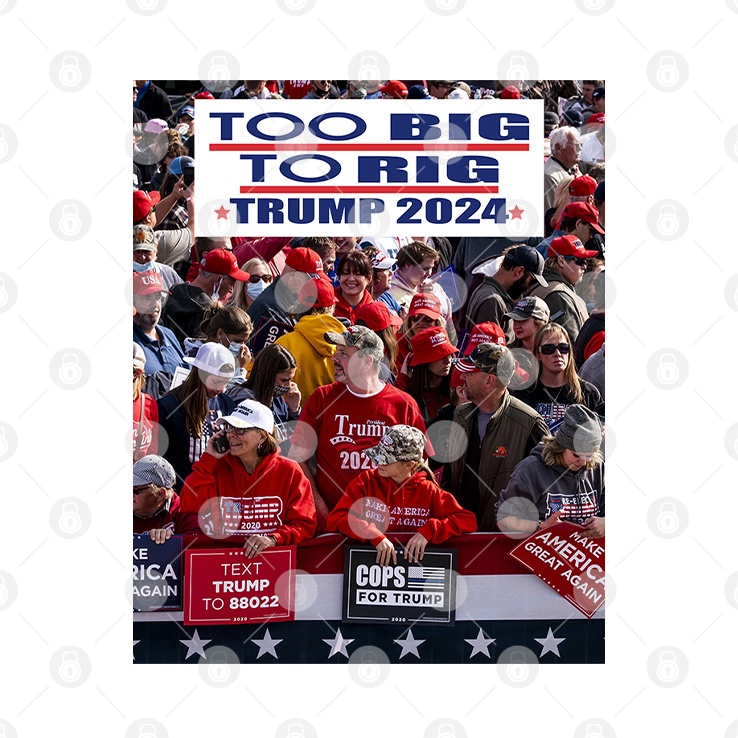 Too Big To Rig Trump 2024 T Shirt Too Big To Rig Trump 2024 T Shirt