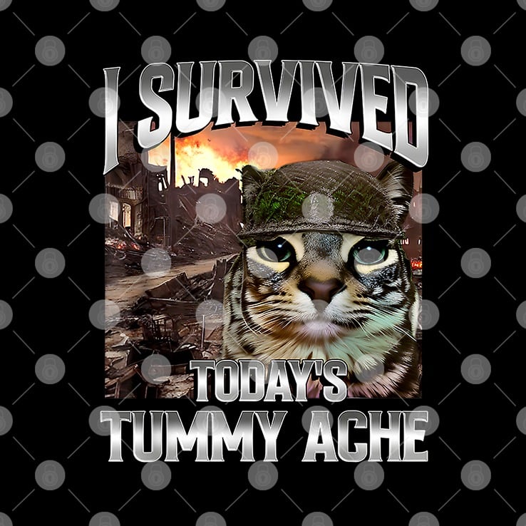 I Survived Today’s Tummy Ache Cat T Shirt I Survived Today’s Tummy Ache Cat T Shirt