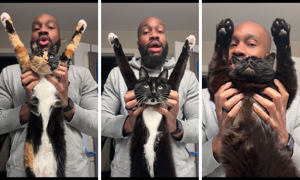 Michael Manigault Brave Cat T Shirt 8 Michael Manigault and his cats