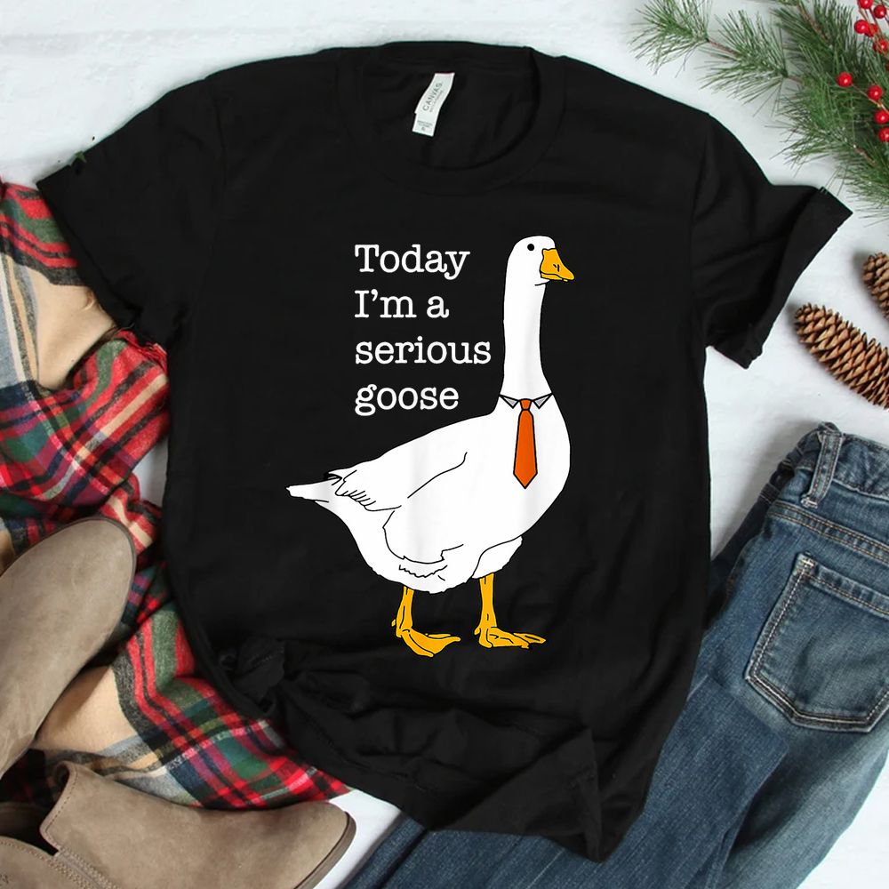 Today I’m A Serious Goose Silly Goose Shirt Today I’m A Serious Goose Silly Goose Shirt