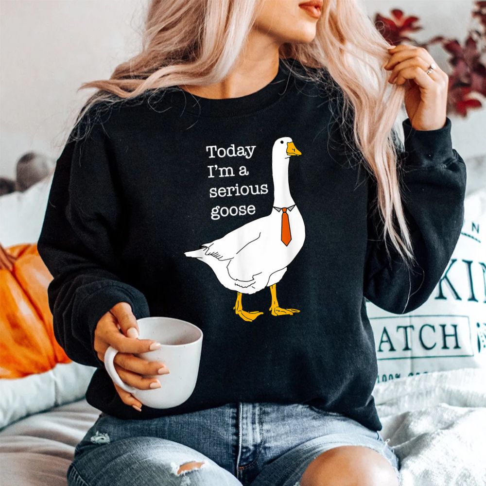Today I’m A Serious Goose Silly Goose Shirt Today I’m A Serious Goose Silly Goose Shirt