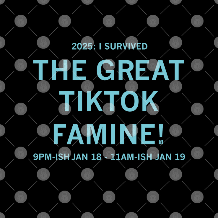 I Survived the Great TikTok Famine T Shirt I Survived the Great TikTok Famine T Shirt