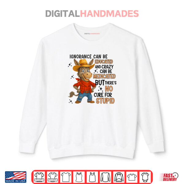 Sweatshirt Ignorance Can Be Educated And Crazy Can Be Medicated But Theres No Cure For Stupid Shirt