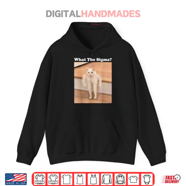 What Sigma Meme Cat Meme Internet Memes Funny Meme Gen Z Pun Shirt 2 Hoodie What Sigma Meme Cat Meme Internet Memes Funny Meme Gen Z Pun Shirt