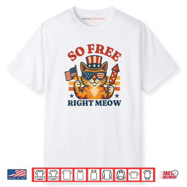 Retro So Free Right Meow Funny Patriotic Cat 4th Of July Shirt