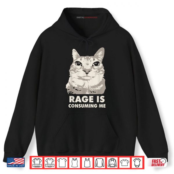 Hoodie Rage Is Consuming Me Angry Cat Meme Sarcasm Funny Shirt digitalhandmades
