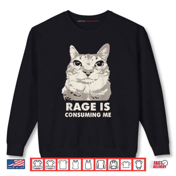 Sweatshirt Rage Is Consuming Me Angry Cat Meme Sarcasm Funny Shirt digitalhandmades