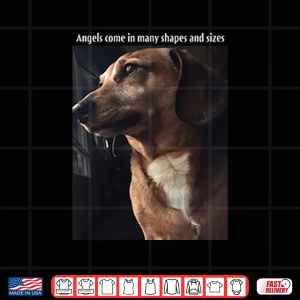 Design Angels Come In Many Shapes And Sizes Frankie Shirt