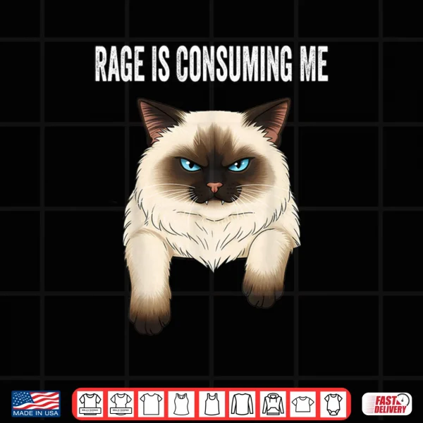 Design Silly Cat Rage is Consuming Me Silly Cats Funny Cat Meme Shirt