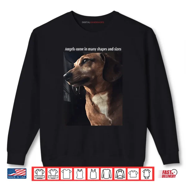 Sweatshirt Angels Come In Many Shapes And Sizes Frankie Shirt