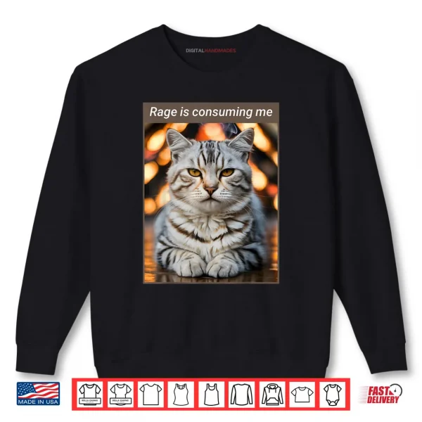 Sweatshirt Rage is Consuming Me Meme Cat Shirt