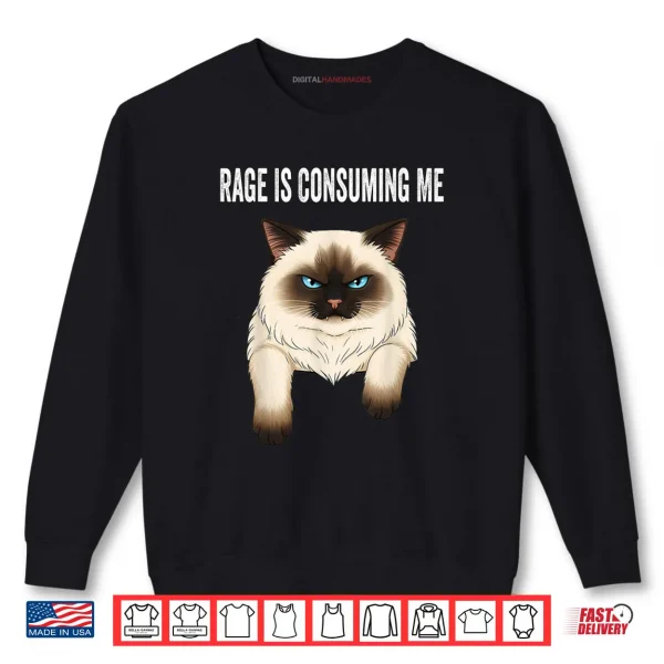 Sweatshirt Silly Cat Rage is Consuming Me Silly Cats Funny Cat Meme Shirt