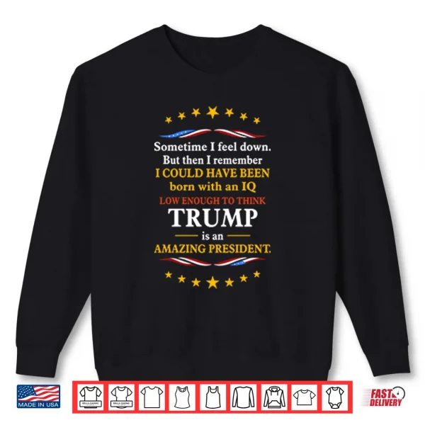 Sweatshirt IQ Low Enough To Think Trump Is An Amazing President Shirt