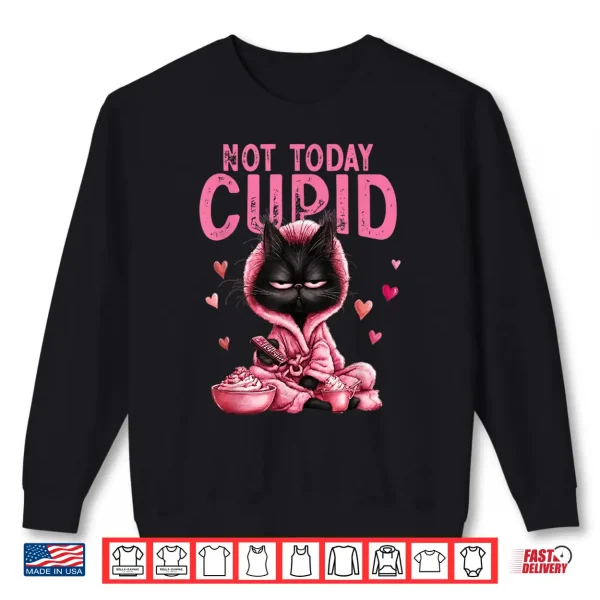 Sweatshirt Not Today Cupid Cute Cat Lover Funny Anti Valentine Graphic Shirt